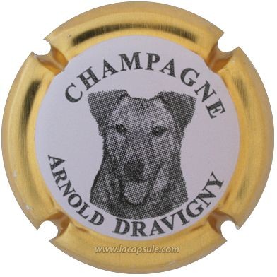 Dravigny Arnold