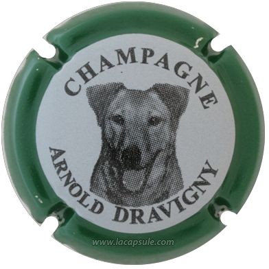 Dravigny Arnold