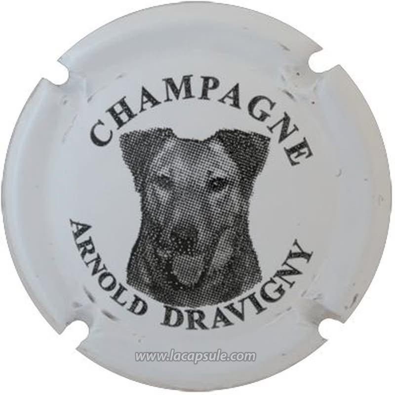 Dravigny Arnold
