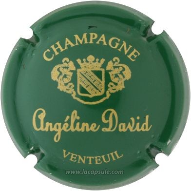 David Angeline