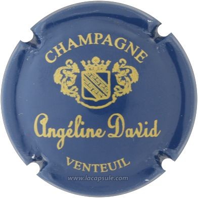 David Angeline