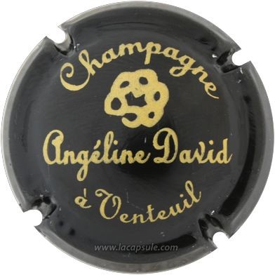 David Angeline