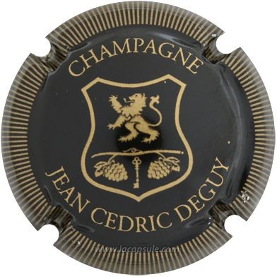 Deguy Jean Cédric