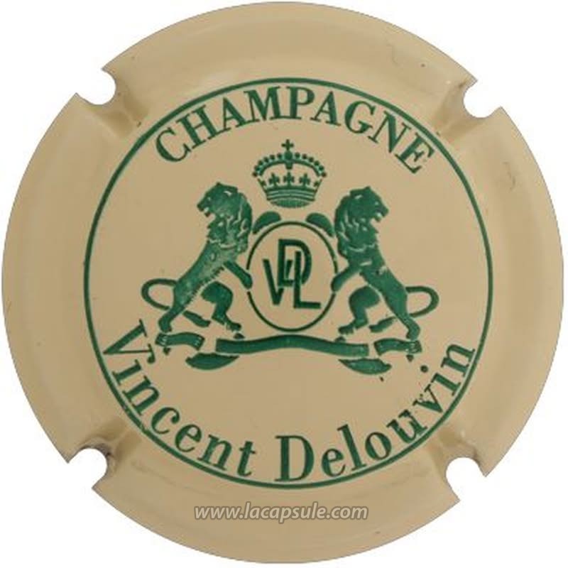 Delouvin Vincent