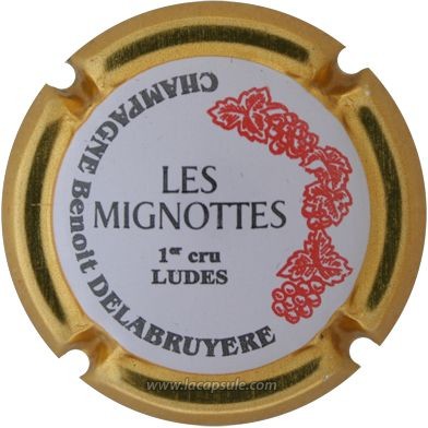Delabruyère Benoit