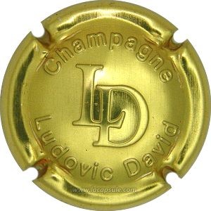 David Ludovic