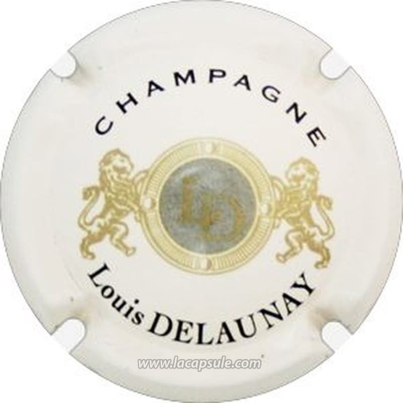 Delaunay Louis