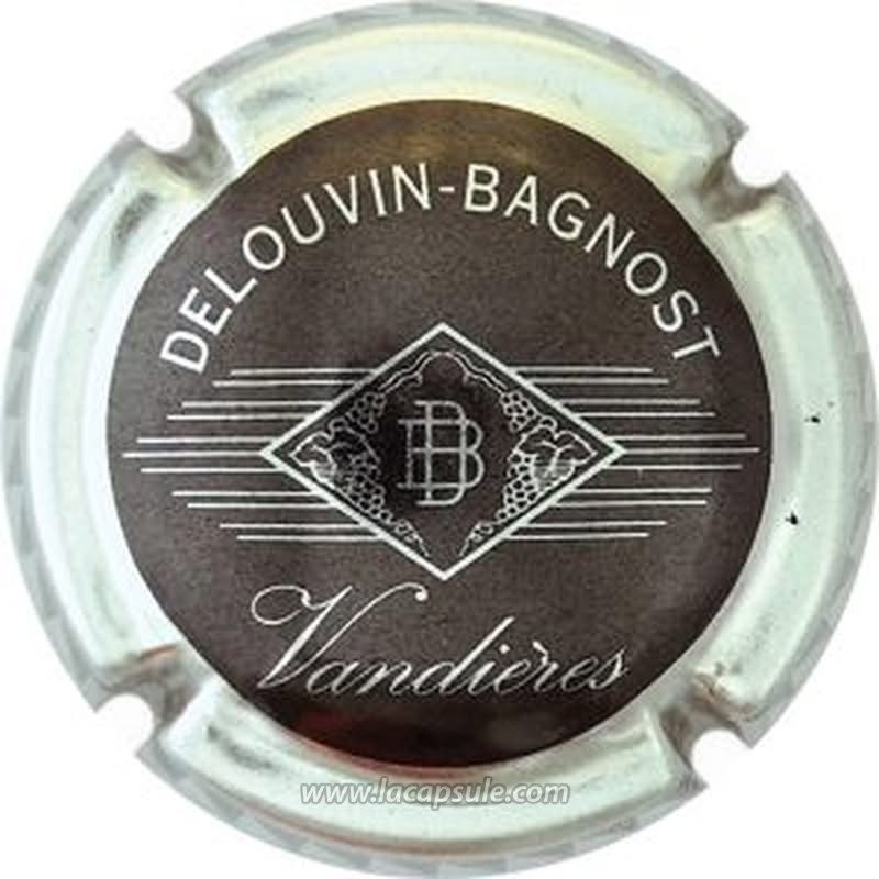 Delouvin Bagnost