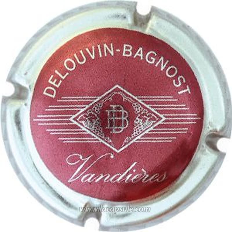Delouvin Bagnost