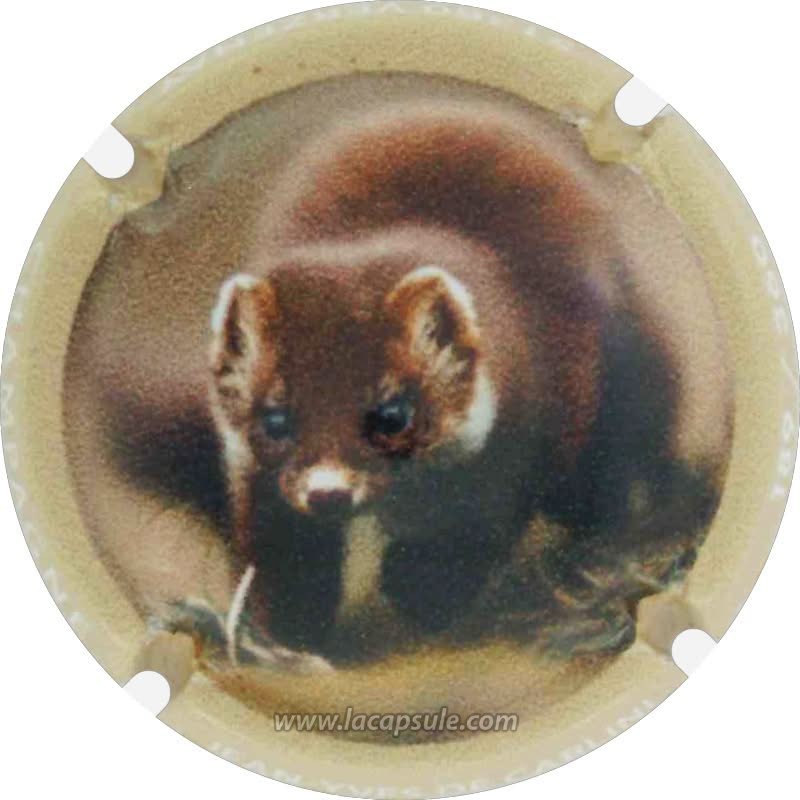 De Carlini Jean-Yves