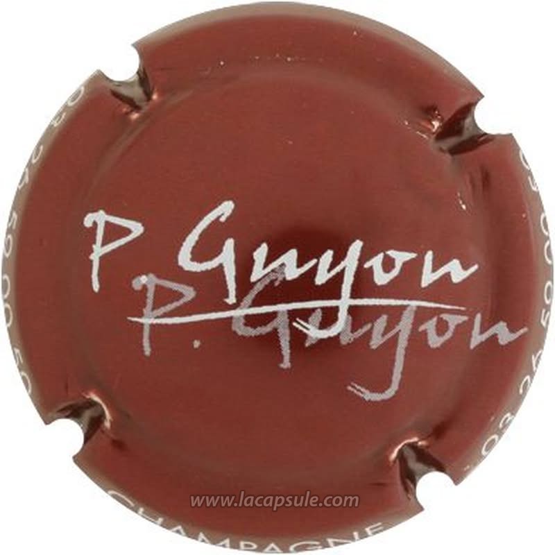 Guyot Patrice
