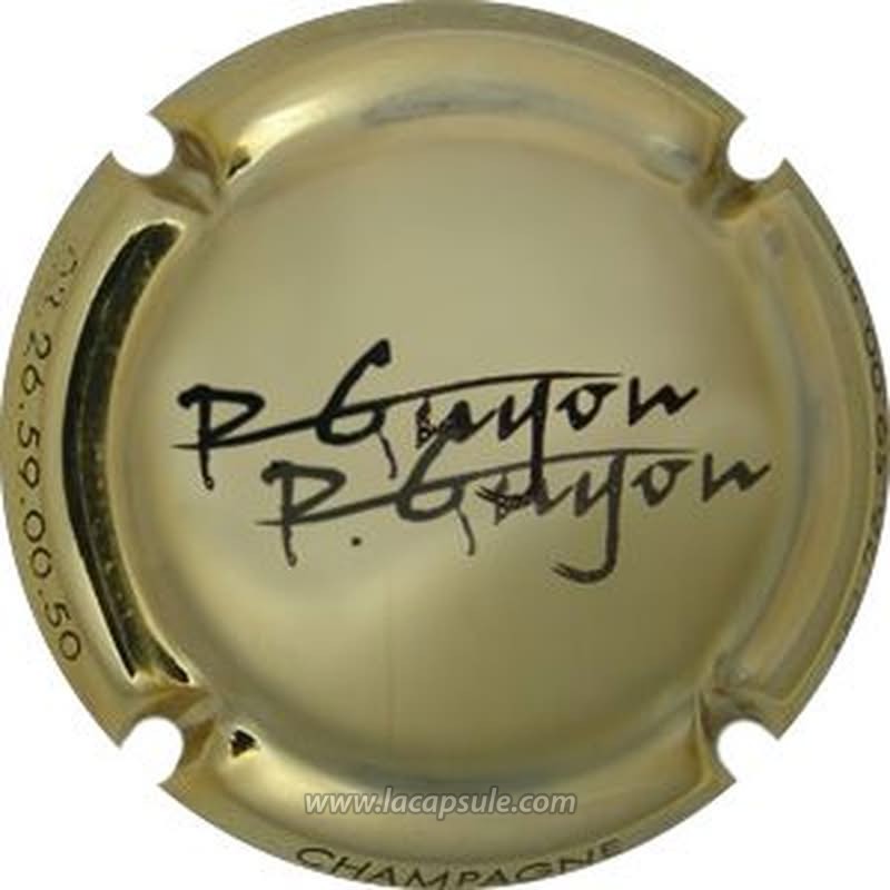 Guyot Patrice