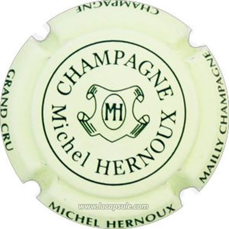 Hernoux Michel