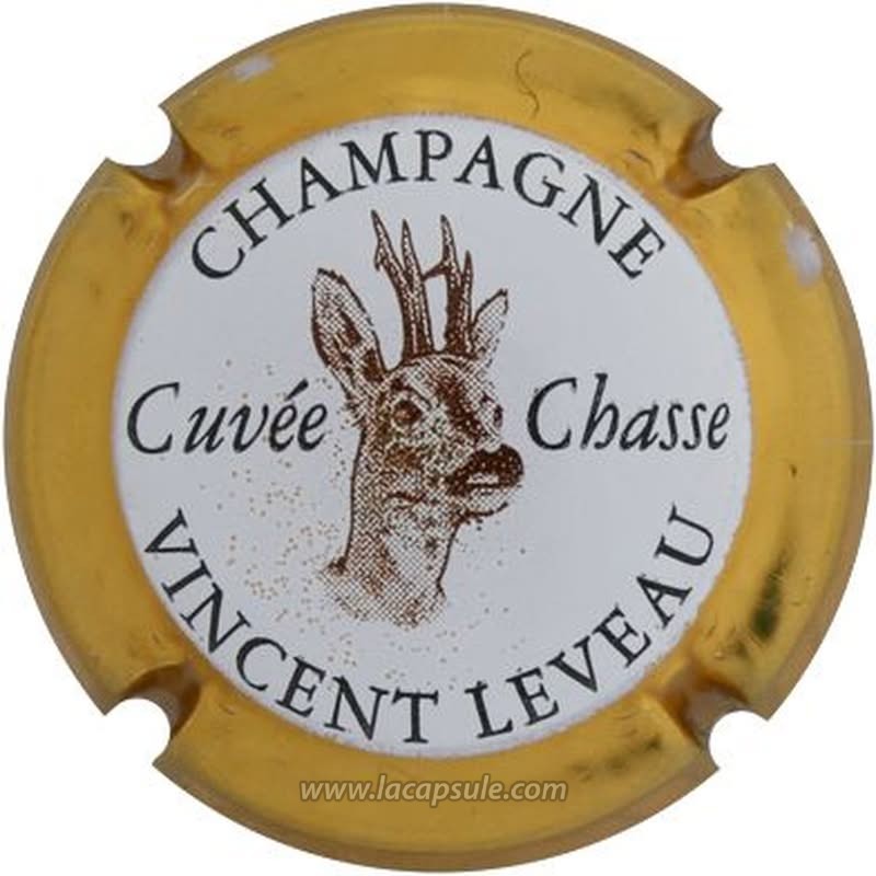 Leveau Vincent