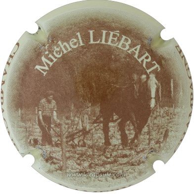Liébart Michel