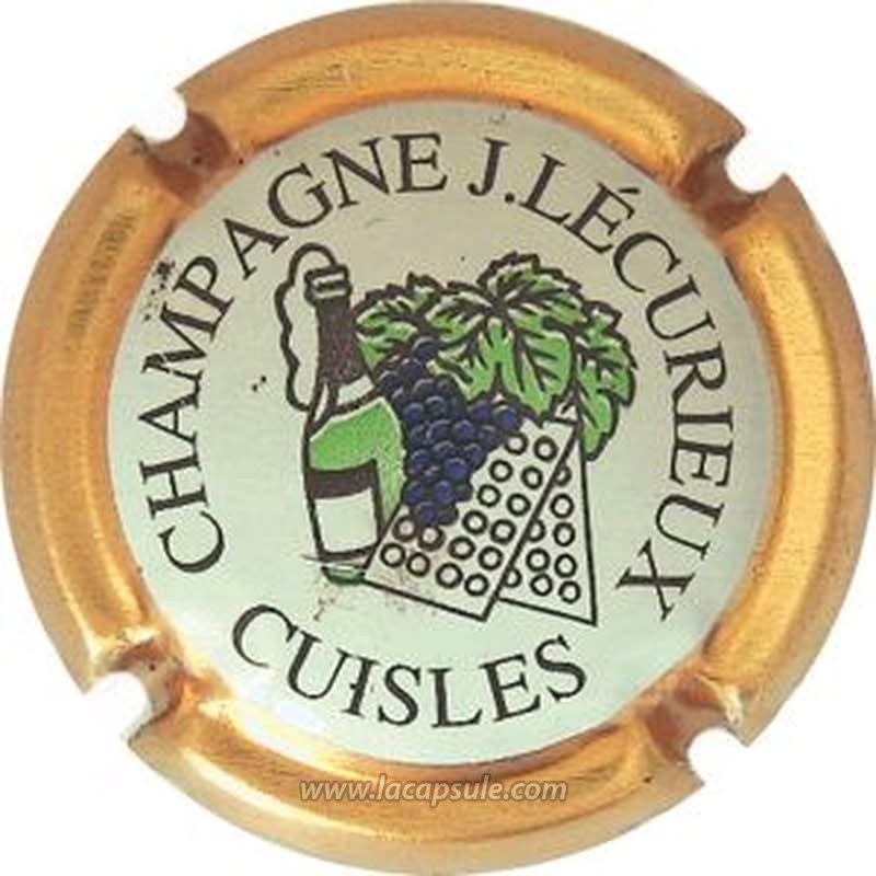Lecurieux J.