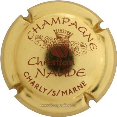 Naude Christian