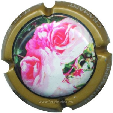 Petitjean Liégé Et Fils