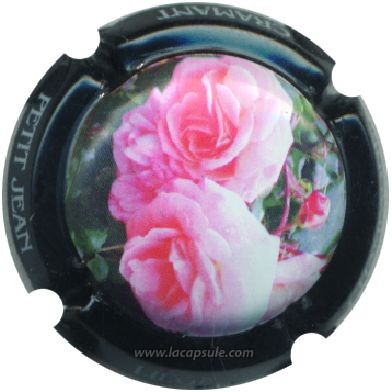 Petitjean Liégé Et Fils