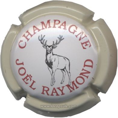 Raymond Joël