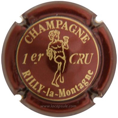 Rilly La Montagne