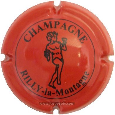Rilly La Montagne