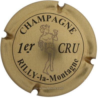 Rilly La Montagne
