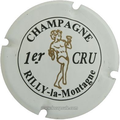 Rilly La Montagne
