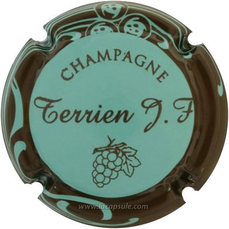 Terrien Jean-François