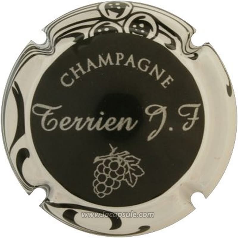 Terrien Jean-François