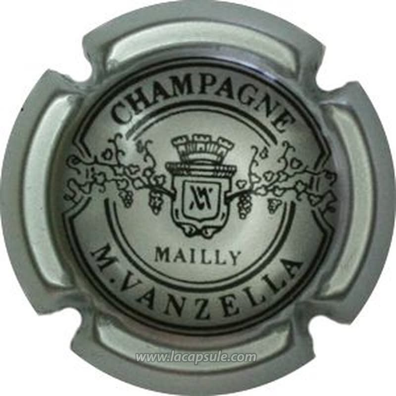 Vanzella M