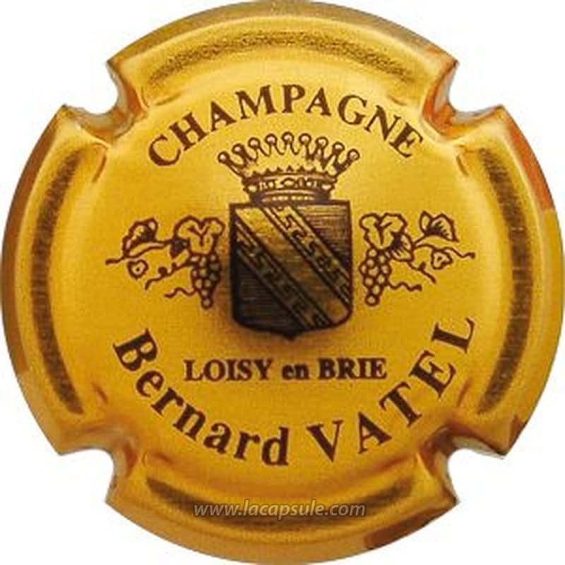 Vatel Bernard