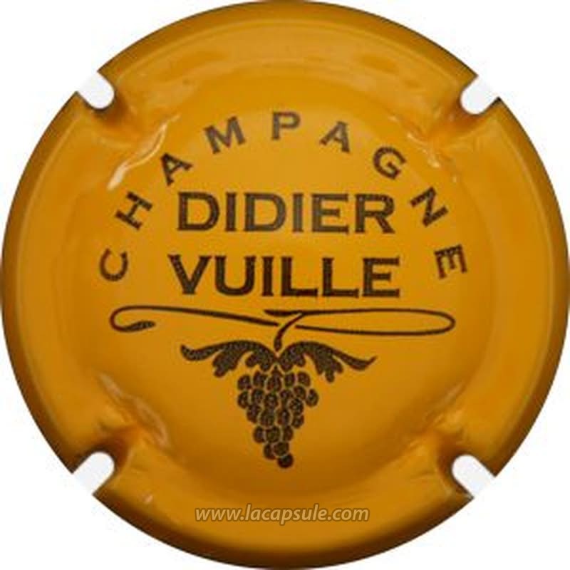 Vuille Didier