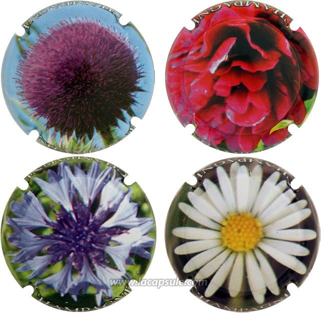 Générique Champagne