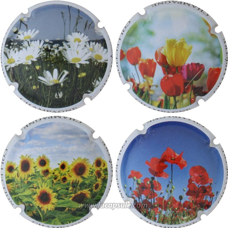 Générique Champagne