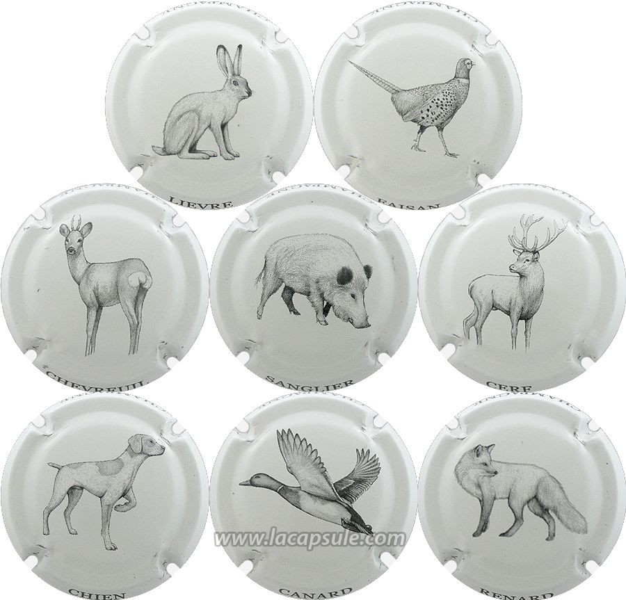 Générique Champagne