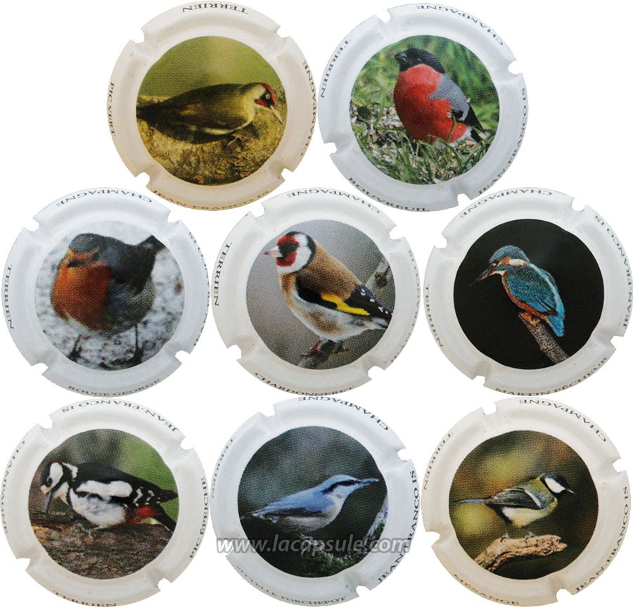 Terrien Jean-François