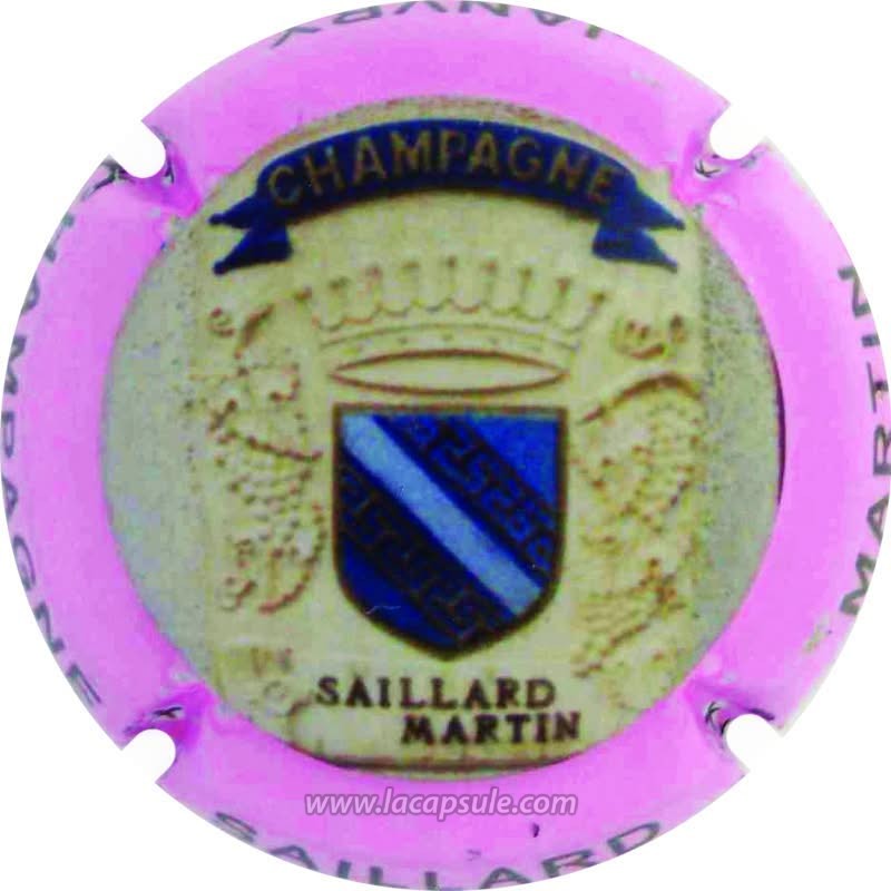 Saillard Martin