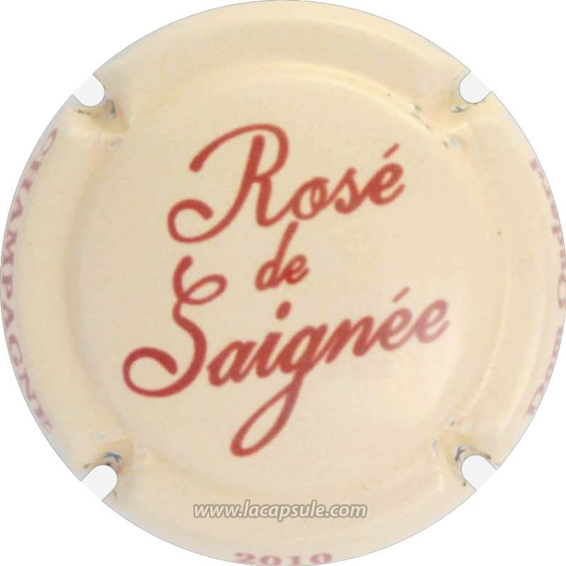 Astrée (Vincent D')