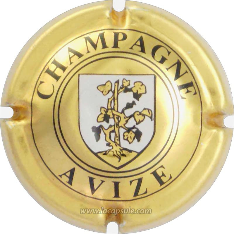 Avize
