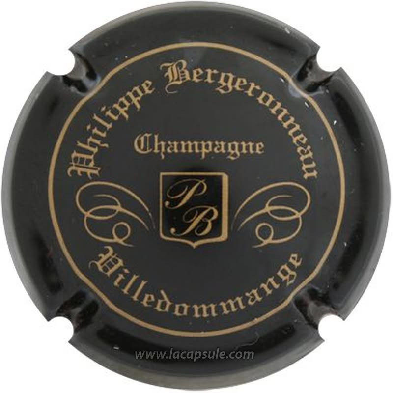 Bergeronneau Philippe