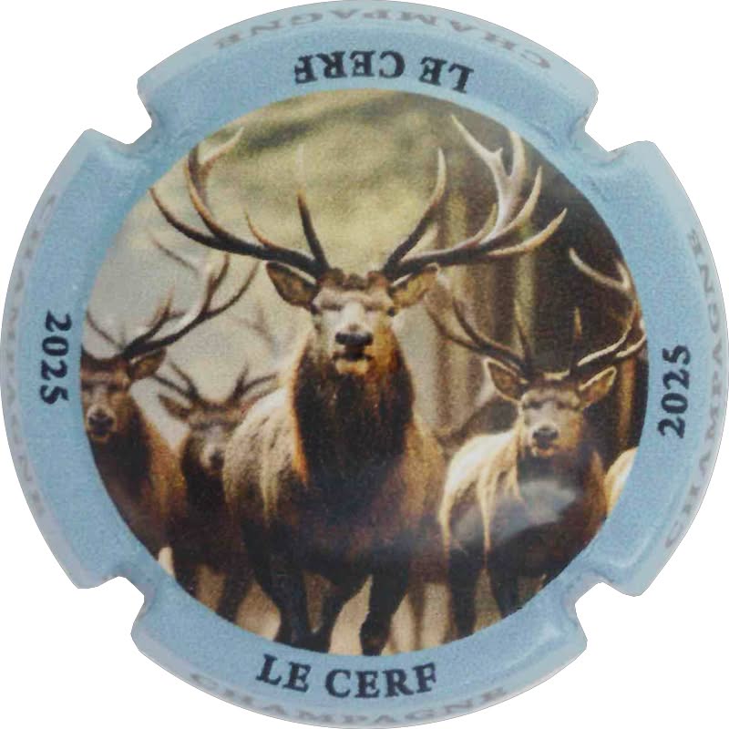 Générique CHAMPAGNE