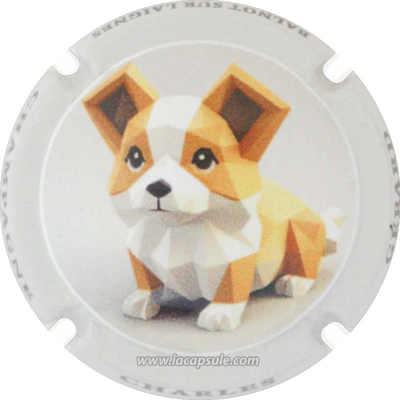 Générique CHAMPAGNE