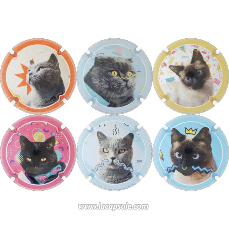 Générique CHAMPAGNE