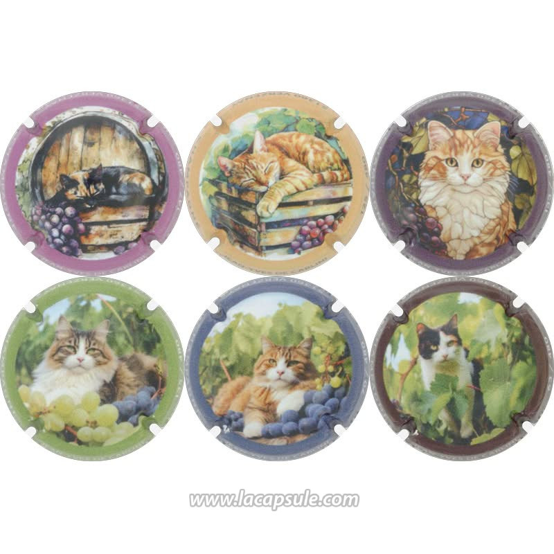 De Carlini Jean-Yves