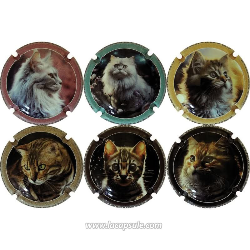 Générique Champagne