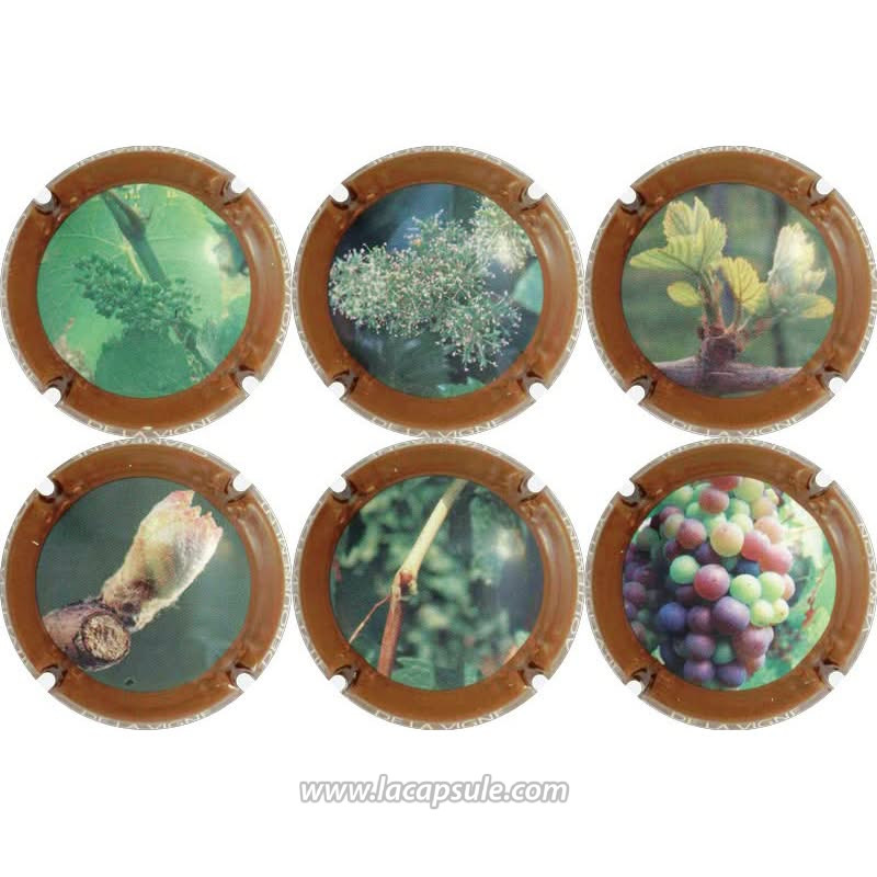 Générique Champagne