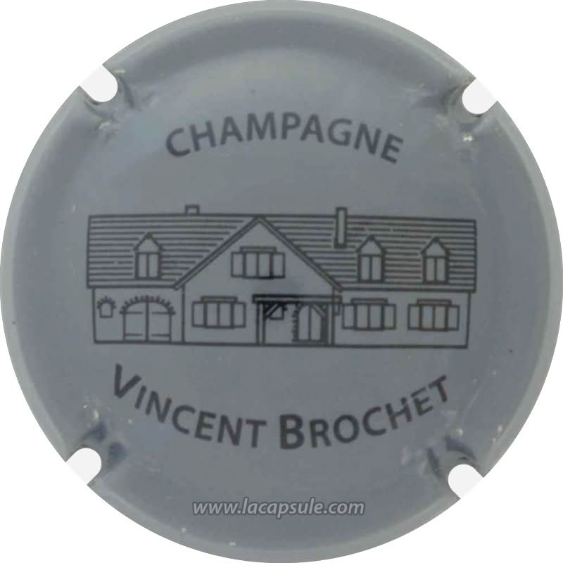 Brochet Vincent