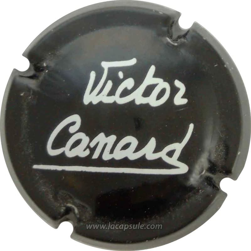 Canard Victor