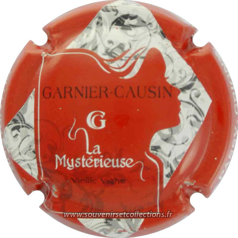 Garnier Causin